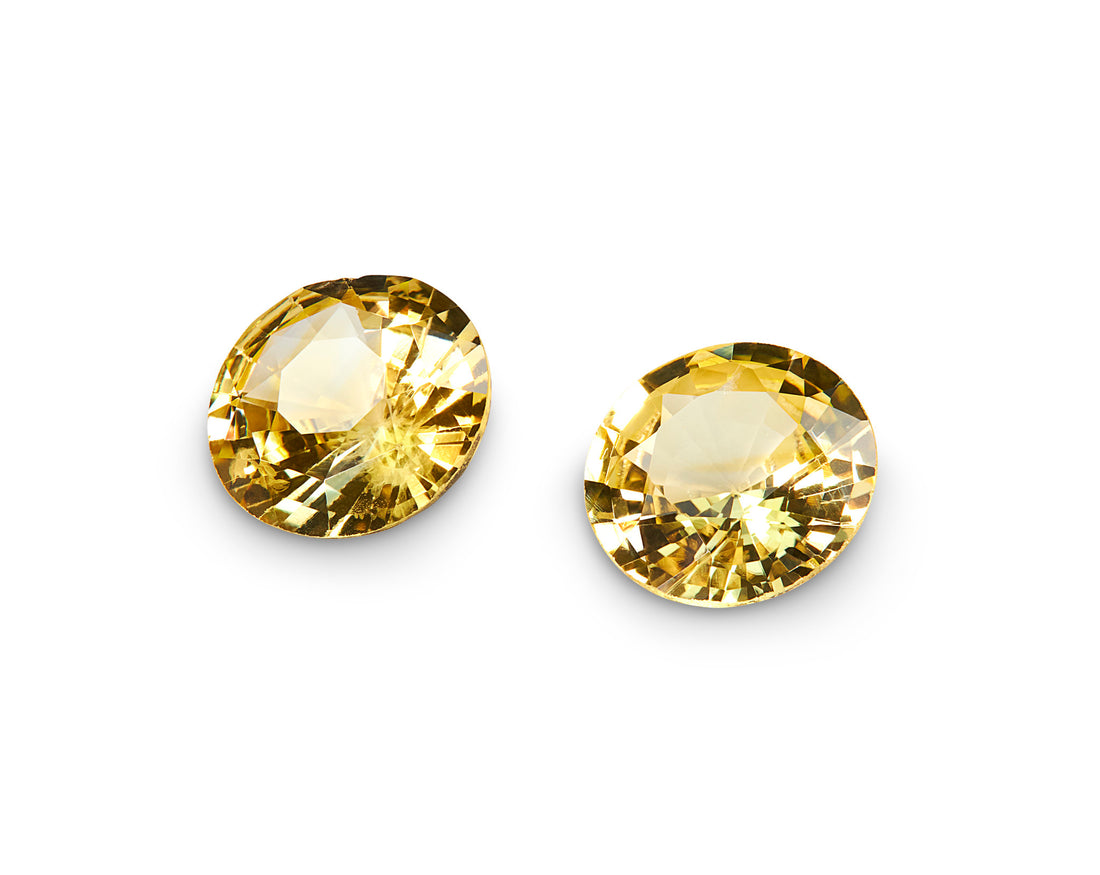 1.65ct Yellow Sapphire Pair - The Sapphire Merchant