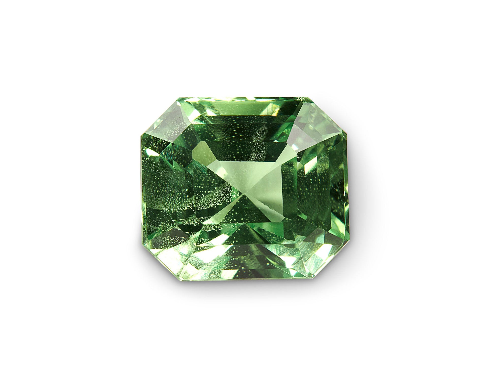 2.62ct Merelani Mint Garnet Asscher Cut