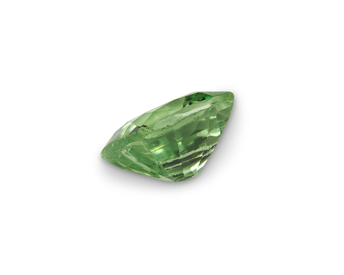 1.03ct Merelani Mint Garnet - The Sapphire Merchant