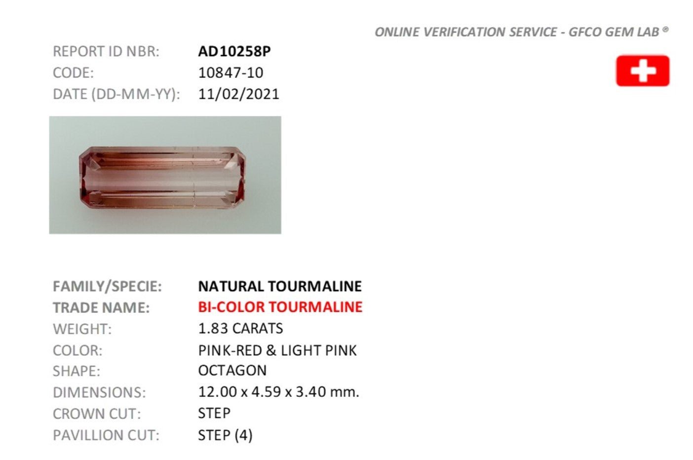 1.83ct Bi - Colour Tourmaline - The Sapphire Merchant