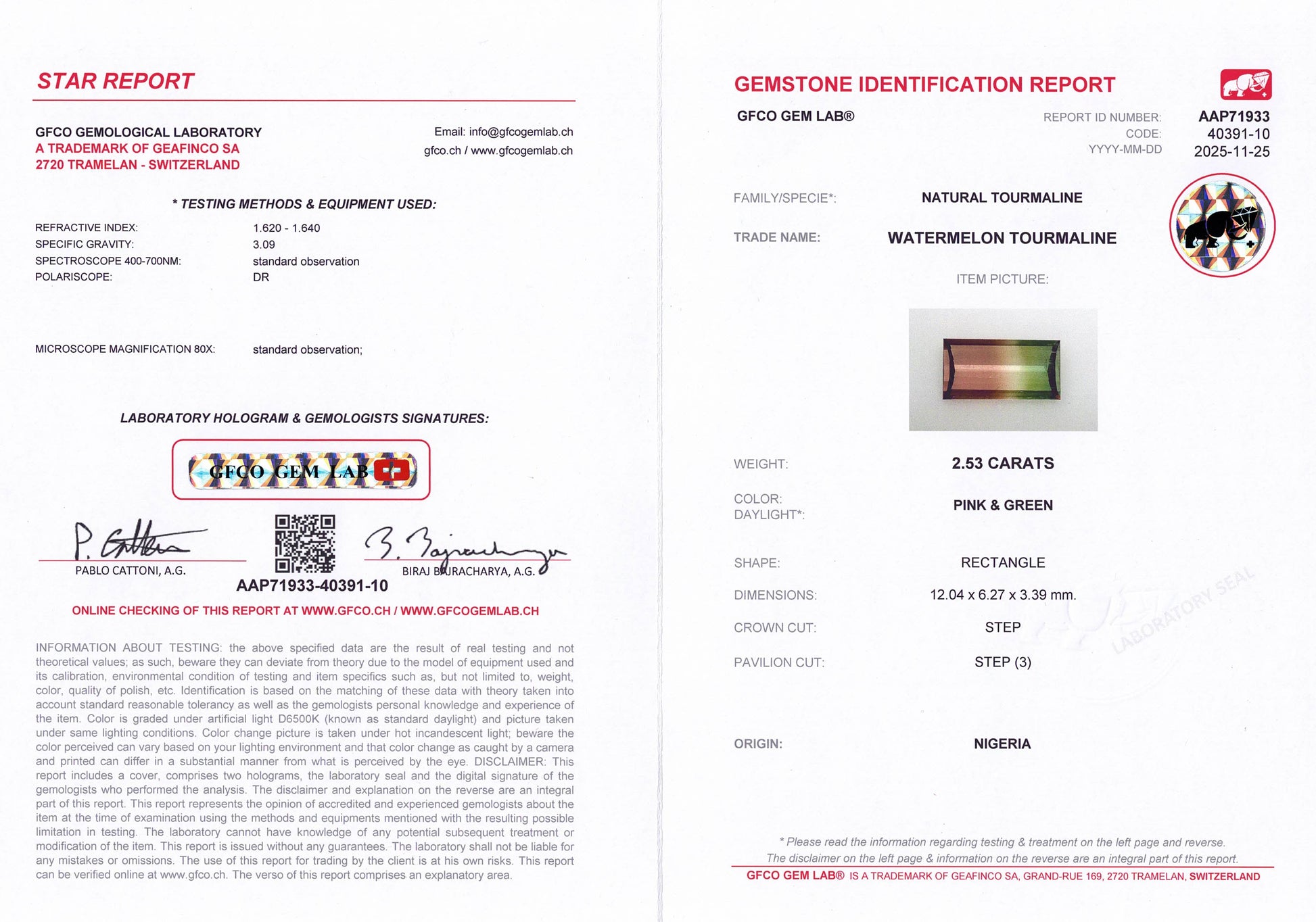 2.53ct Watermelon Tourmaline Baguette Cut