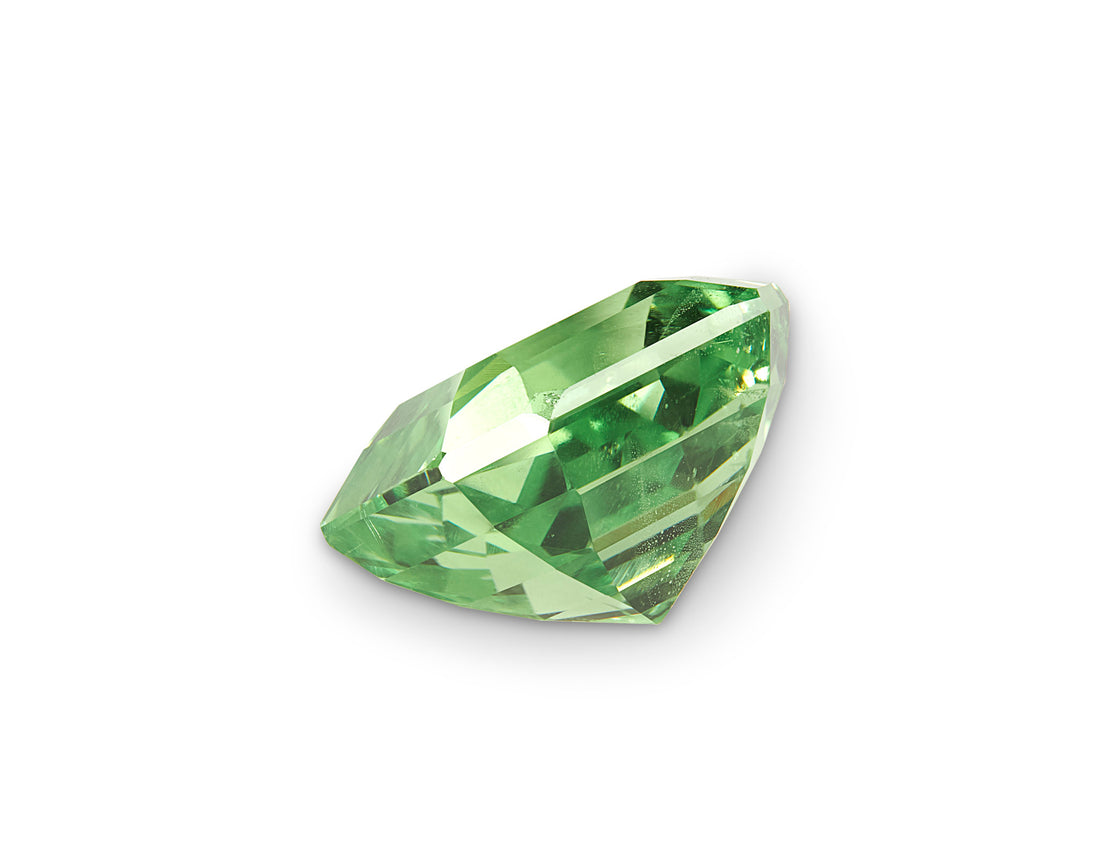 2.62ct Merelani Mint Garnet - The Sapphire Merchant