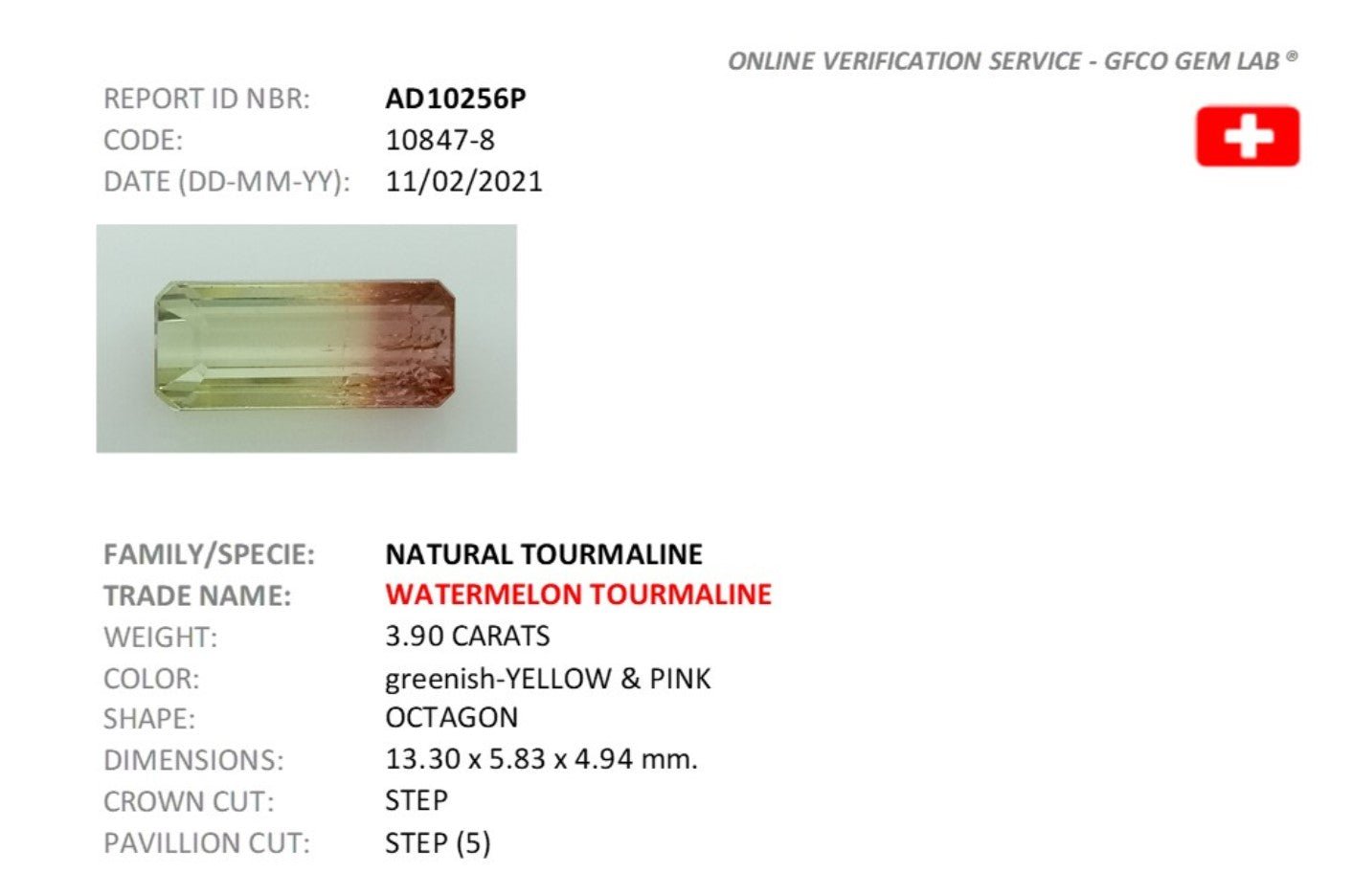 3.90ct Watermelon Tourmaline - The Sapphire Merchant