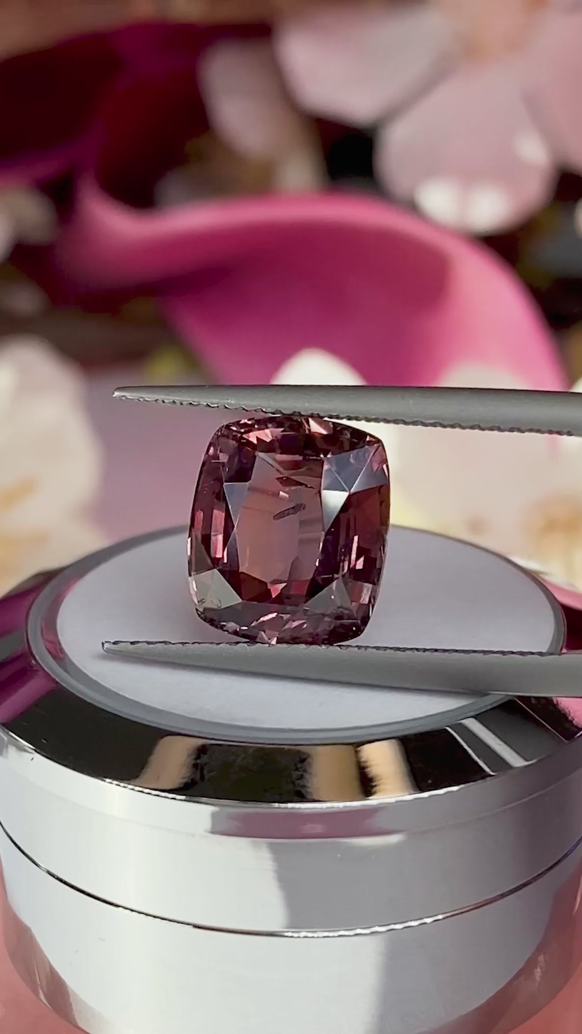 6.33ct Rosewood Sapphire