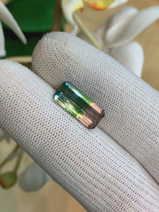 4.24ct Watermelon Tourmaline