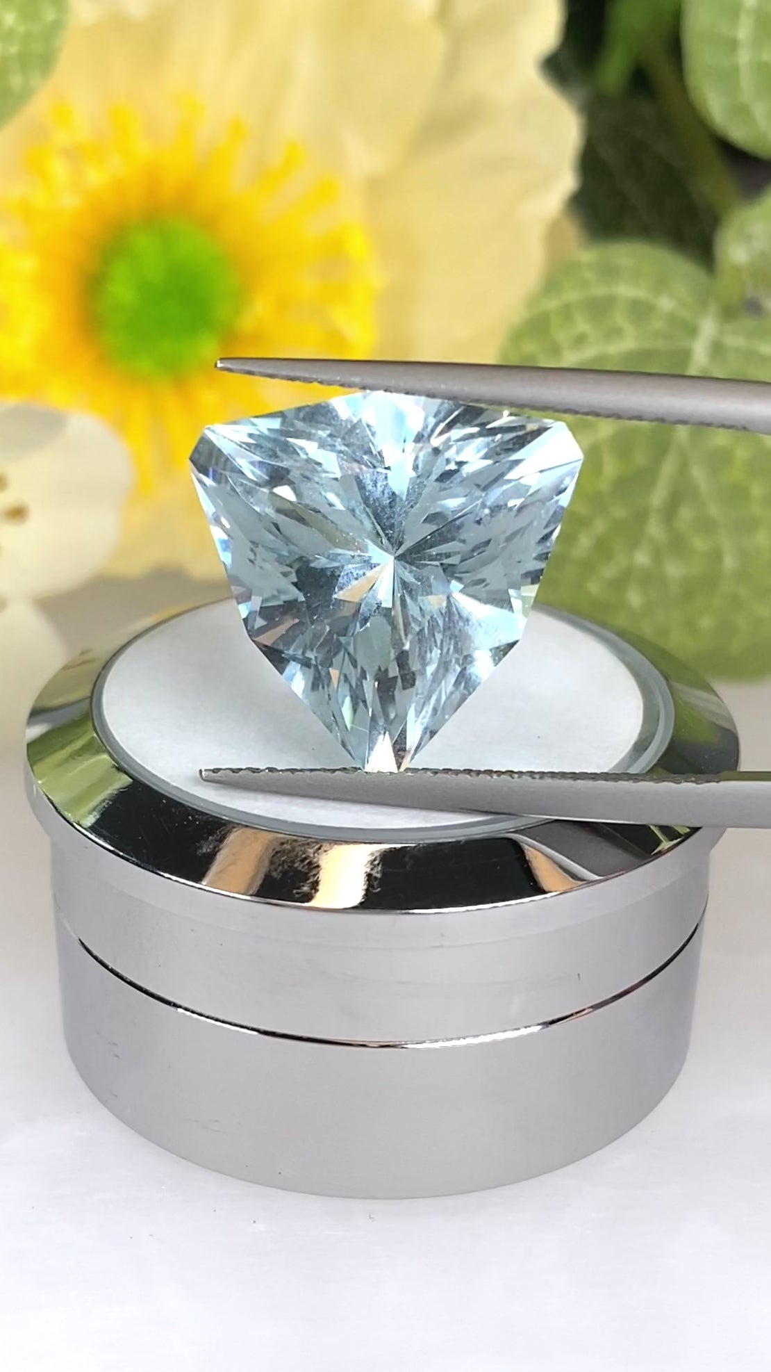 9.90ct Aquamarine Gemstone Trillion Cut