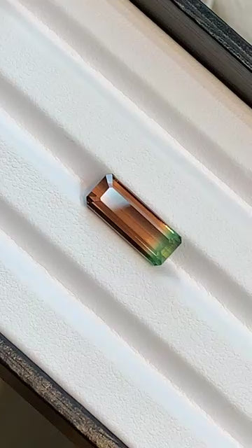 7.04ct Watermelon Tourmaline