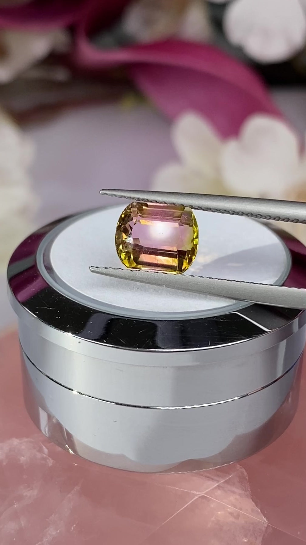 1.99ct Watermelon Tourmaline