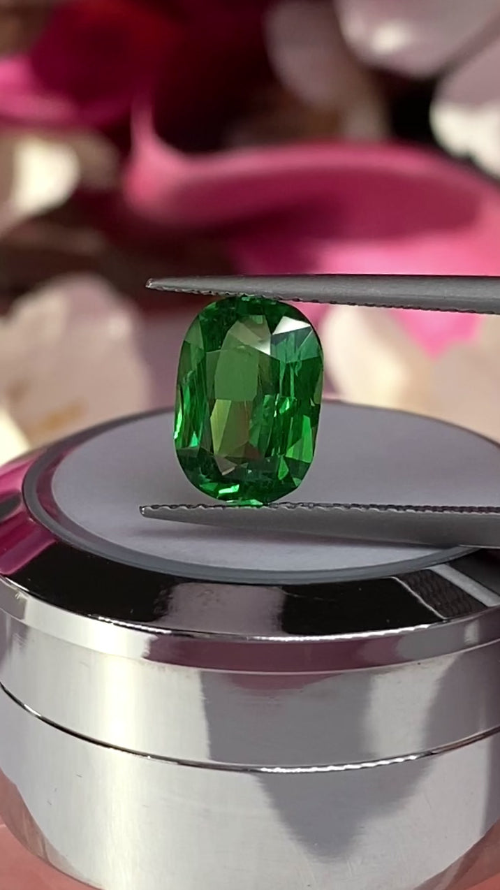 2.61ct Tsavorite Garnet